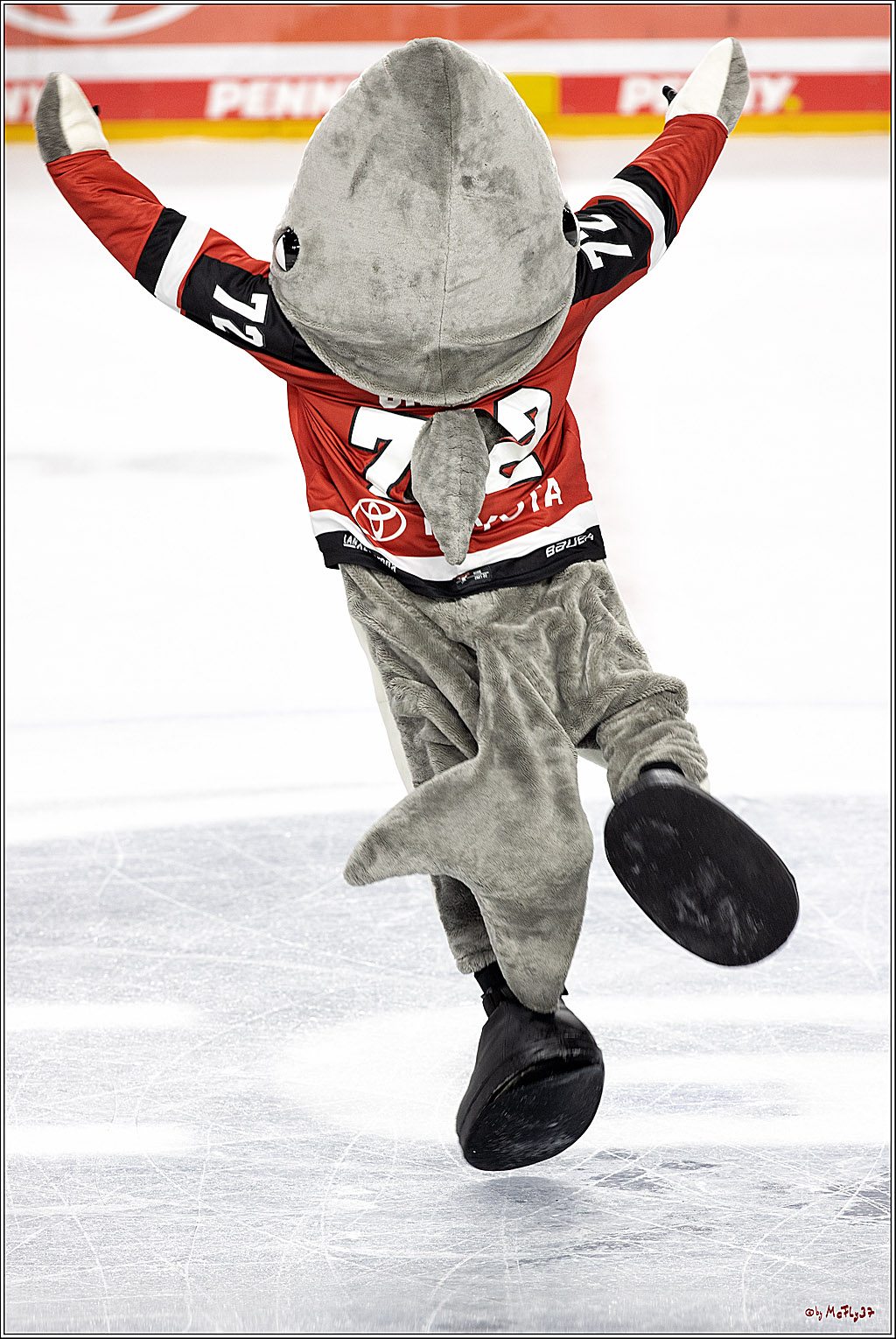 PENNY DEL;  Koelner Haie - Grizzlys Wolfsburg; Koeln, 10.09.2021